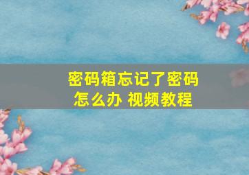 密码箱忘记了密码怎么办 视频教程